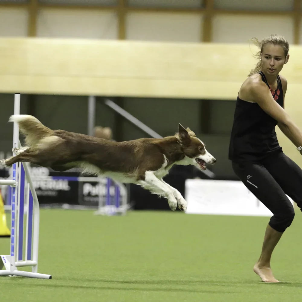 Play Comfort 24 - Agility kunstgress