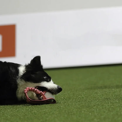 Play Comfort 24 - Agility kunstgress