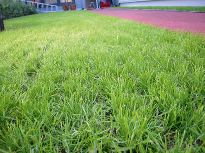 Gressmatte - Gressarmeringsmatte- Ringmatte
